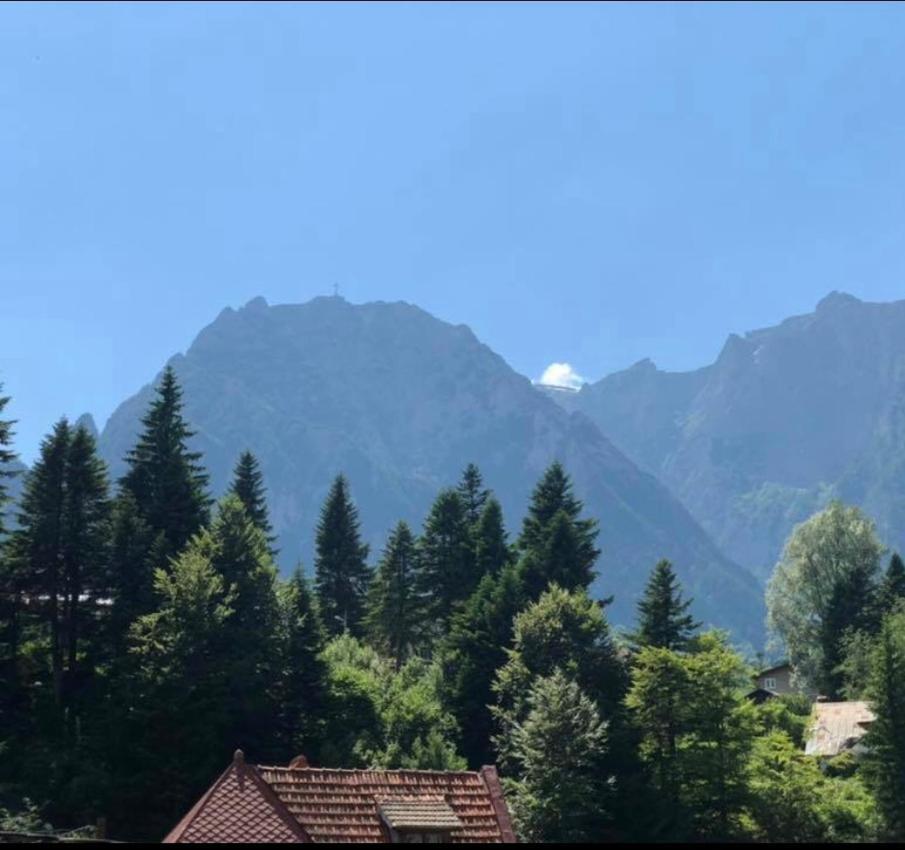 Pensiunea Sport Buşteni Exteriör bild