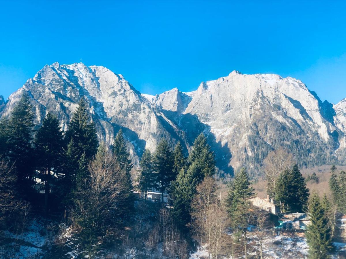 Pensiunea Sport Buşteni Exteriör bild